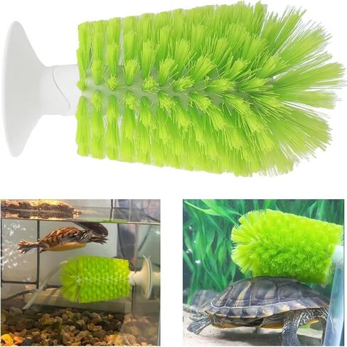 Turtle Brush with Suction Cup for Tank Scratches Back Brush Shell Cleaning Brush Scrub Red Eared Slider Turtle Exfoliate Brush for Remove Turtle Shell Scutes (Green) in Saudi Arabia