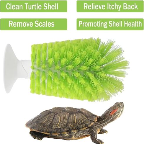 Turtle Brush with Suction Cup for Tank Scratches Back Brush Shell Cleaning Brush Scrub Red Eared Slider Turtle Exfoliate Brush for Remove Turtle Shell Scutes (Green) in Saudi Arabia