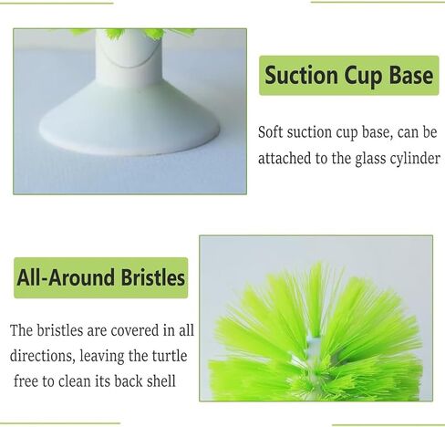 Turtle Brush with Suction Cup for Tank Scratches Back Brush Shell Cleaning Brush Scrub Red Eared Slider Turtle Exfoliate Brush for Remove Turtle Shell Scutes (Green) in Saudi Arabia