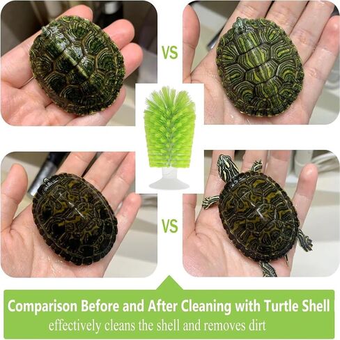 Turtle Brush with Suction Cup for Tank Scratches Back Brush Shell Cleaning Brush Scrub Red Eared Slider Turtle Exfoliate Brush for Remove Turtle Shell Scutes (Green) in Saudi Arabia