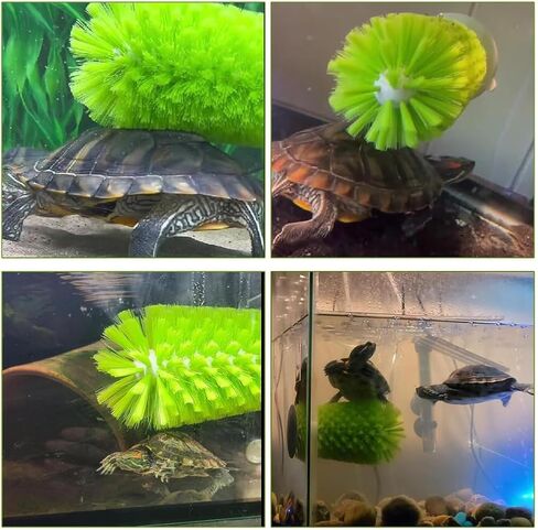 Turtle Brush with Suction Cup for Tank Scratches Back Brush Shell Cleaning Brush Scrub Red Eared Slider Turtle Exfoliate Brush for Remove Turtle Shell Scutes (Green) in Saudi Arabia