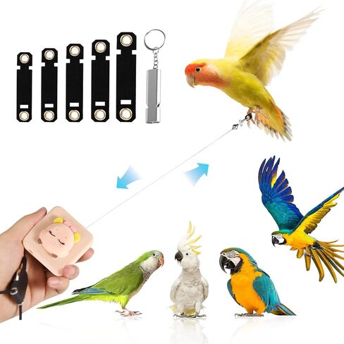 مقود الطيور، حزام الطيور الجديد 2024، مقود الببغاء القابل للسحب، يستخدم لتدريب الطيور على الطيران، 0-20 قدم قابل للتعديل بحرية، مناسب لمختلف الطيور (الدب البني) in Kuwait
