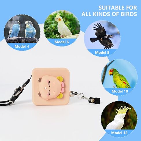 مقود الطيور، حزام الطيور الجديد 2024، مقود الببغاء القابل للسحب، يستخدم لتدريب الطيور على الطيران، 0-20 قدم قابل للتعديل بحرية، مناسب لمختلف الطيور (الدب البني) in Kuwait