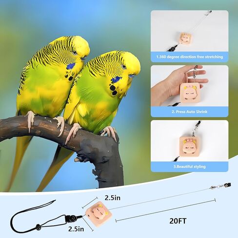 مقود الطيور، حزام الطيور الجديد 2024، مقود الببغاء القابل للسحب، يستخدم لتدريب الطيور على الطيران، 0-20 قدم قابل للتعديل بحرية، مناسب لمختلف الطيور (الدب البني) in Kuwait