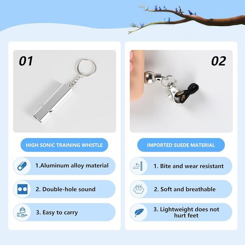 مقود الطيور، حزام الطيور الجديد 2024، مقود الببغاء القابل للسحب، يستخدم لتدريب الطيور على الطيران، 0-20 قدم قابل للتعديل بحرية، مناسب لمختلف الطيور (الدب البني) in Kuwait