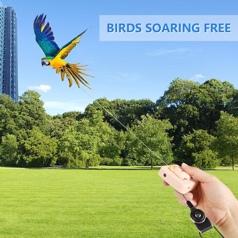 مقود الطيور، حزام الطيور الجديد 2024، مقود الببغاء القابل للسحب، يستخدم لتدريب الطيور على الطيران، 0-20 قدم قابل للتعديل بحرية، مناسب لمختلف الطيور (الدب البني) in Kuwait