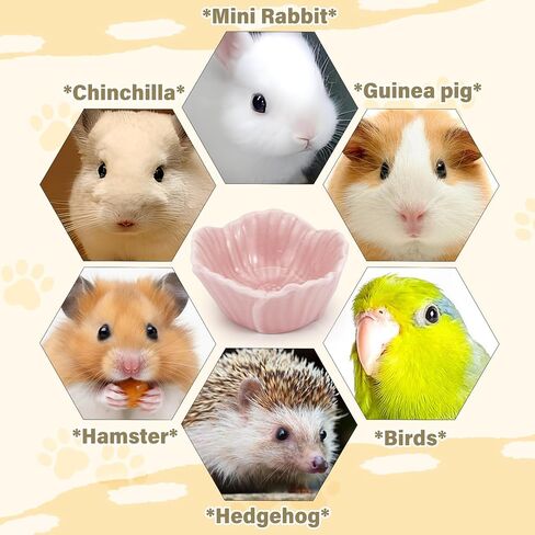 Small Ceramic Pet Hamster Bowl, Easy to Clean Anti Flipping Hamster Food and Water Bowl Feeding Bowl, Small Animal Bowls for Dwarf Hamster, Parrots (Pink, s) in Saudi Arabia
