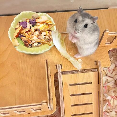 Small Ceramic Pet Hamster Bowl, Easy to Clean Anti Flipping Hamster Food and Water Bowl Feeding Bowl, Small Animal Bowls for Dwarf Hamster, Parrots (Pink, s) in Saudi Arabia