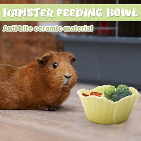 Small Ceramic Pet Hamster Bowl, Easy to Clean Anti Flipping Hamster Food and Water Bowl Feeding Bowl, Small Animal Bowls for Dwarf Hamster, Parrots (Pink, s) in Saudi Arabia