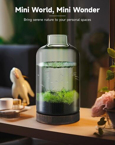 PONDON 1 Gallon Fish Bowl Vase, Featured Aquarium Kit Aquariums Channel, Wooden Base and Water Changer Included in Saudi Arabia