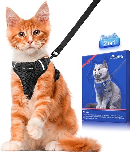 Halypet Cat Harness and Leash Set [ MAX Safety Third Generation ] Escape Proof Soft Adjustable Cat Leash Breathable Comfortable Vest Easy to Wear Kitten Harness for Outdoor Walking Black Small in Kuwait