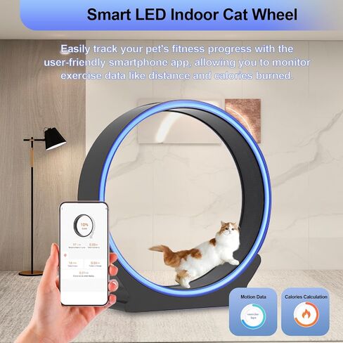 عجلة القطط الذكية من homegroove، عجلات كبيرة للقطط مقاس 42 بوصة ارتفاعًا للقطط الداخلية، عجلة تمرين للقطط مع مدرج مفروش بالسجاد لحياة أطول لكيتي (الإصدار الأقصى (مع التطبيق الذكي) - LED باللونين الأسود والأزرق) in Saudi Arabia
