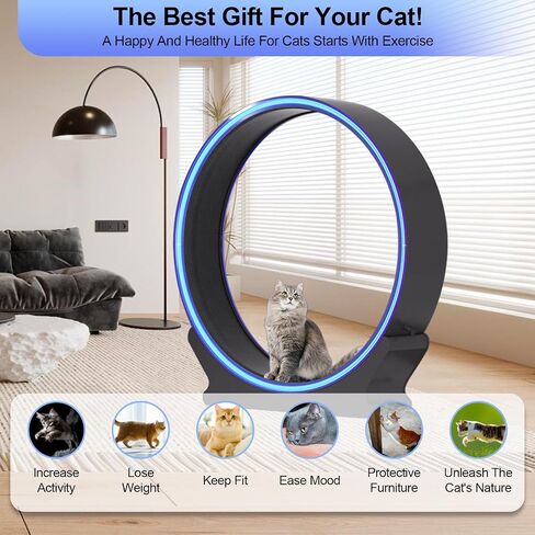 عجلة القطط الذكية من homegroove، عجلات كبيرة للقطط مقاس 42 بوصة ارتفاعًا للقطط الداخلية، عجلة تمرين للقطط مع مدرج مفروش بالسجاد لحياة أطول لكيتي (الإصدار الأقصى (مع التطبيق الذكي) - LED باللونين الأسود والأزرق) in Saudi Arabia