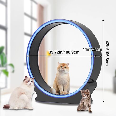 عجلة القطط الذكية من homegroove، عجلات كبيرة للقطط مقاس 42 بوصة ارتفاعًا للقطط الداخلية، عجلة تمرين للقطط مع مدرج مفروش بالسجاد لحياة أطول لكيتي (الإصدار الأقصى (مع التطبيق الذكي) - LED باللونين الأسود والأزرق) in Saudi Arabia