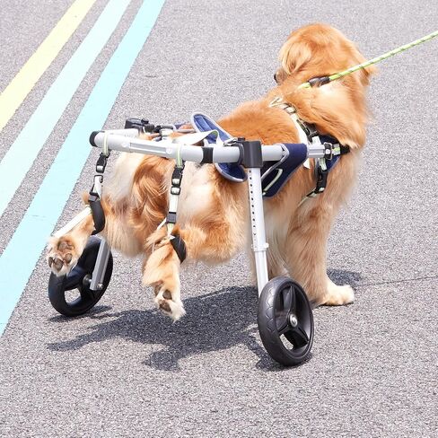 VEVOR 2 Wheels Dog Wheelchair for Back Legs in Saudi Arabia