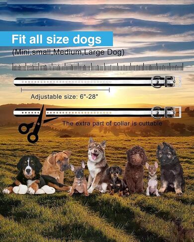 Electric Wireless Dog Fence System, Pet Containment System with Waterproof and Rechargeable Training Collar Receiver for 2 Dogs Pets Container Boundary (Black) in Saudi Arabia