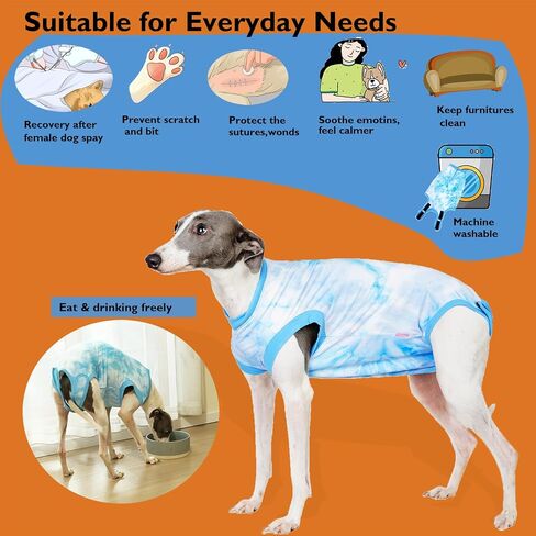 Dog Surgery Recovery Suit for Large Female Spay,Anti Licking Dog Surgical Recovery Onesie,Fashion Striped Purple L in Saudi Arabia