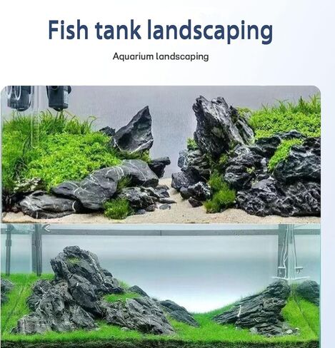 Seiryu Stones Natural Slate Stone Rocks 2 to 6 inch Aquariums Stone for Aquascaping, Aquariums, Terrariums, Vivariums Decorative Stone,Reptile Enclosures,Paludariums,and Gardens（5Lb） in Saudi Arabia
