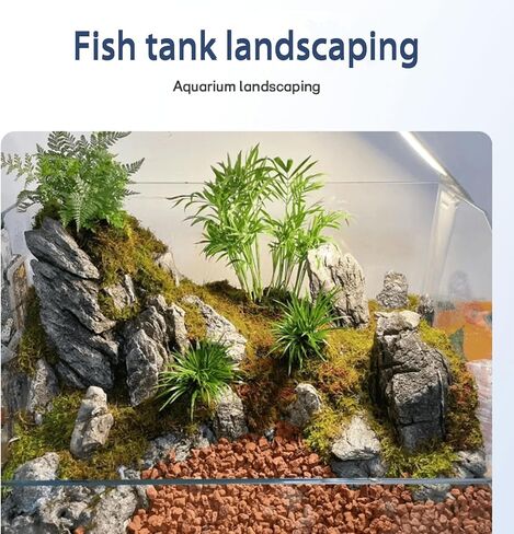Seiryu Stones Natural Slate Stone Rocks 2 to 6 inch Aquariums Stone for Aquascaping, Aquariums, Terrariums, Vivariums Decorative Stone,Reptile Enclosures,Paludariums,and Gardens（5Lb） in Saudi Arabia