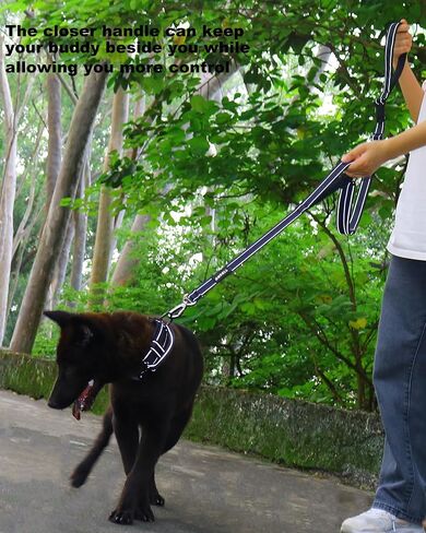 AUBELL Double Handle Tactical Dog Leash Heavy Duty for Small and Medium Large Dogs,Reflective Adjustable Nylon Dog Leash That Pull with Car Seatbelt for Training,4.5-6FT，Purple in Kuwait