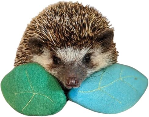 Mint Stuffed Fleece Leaves Hedgehog Toy Enrichment Cage Buddy Mint Stick Alternative in Saudi Arabia