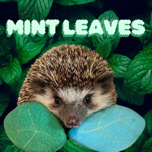 Mint Stuffed Fleece Leaves Hedgehog Toy Enrichment Cage Buddy Mint Stick Alternative in Saudi Arabia