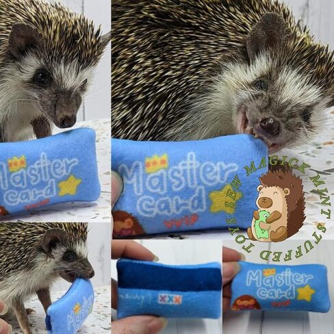 Mint Stuffed Fleece Leaves Hedgehog Toy Enrichment Cage Buddy Mint Stick Alternative in Saudi Arabia