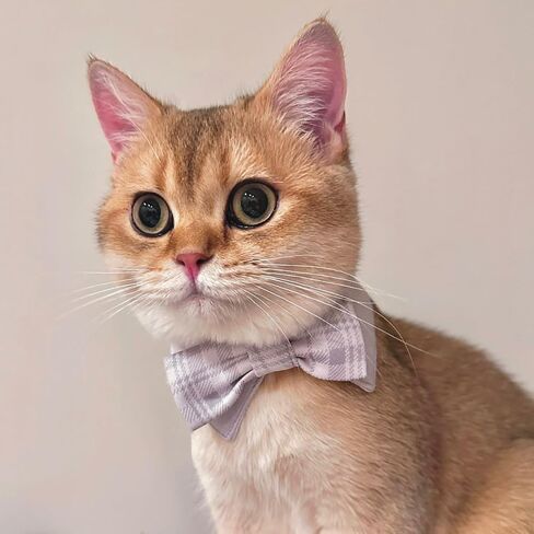 Dog Bandana with Plaid Bow Tie, Soft and Durable Polyester Pet Scarf, 7 Sizes for Cats and Dogs, Adjustable Triple-Snap Closure (Green, 3X-Large) in Saudi Arabia