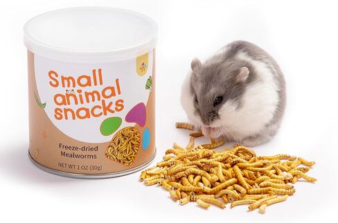 Niteangel Small Animal Snack & Treats Toy - Small Critter Natural Treat for Dwarf Syrian Robo Hamsters Gerbils Mice Lemmings Sugar Glider Hedgehogs Chickens Birds or Other Small-Sized Pets in Kuwait