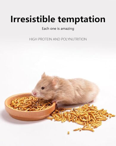 Niteangel Small Animal Snack & Treats Toy - Small Critter Natural Treat for Dwarf Syrian Robo Hamsters Gerbils Mice Lemmings Sugar Glider Hedgehogs Chickens Birds or Other Small-Sized Pets in Kuwait