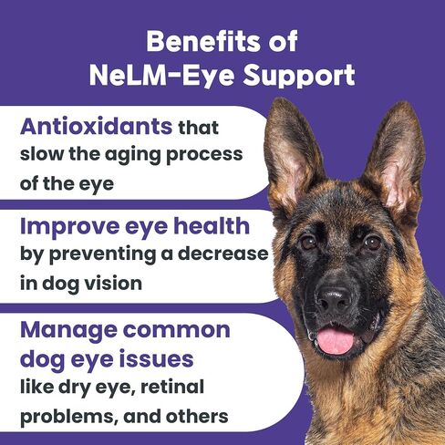 Mepet Multivitamin for Dogs - Dog Vitamins and Supplements - Magnesium Gluconate & Minerals for Skin, Coat, Hip & Joint Support, Immune & Digestive System - Pet Health Supplies - Beef, 30 Strips in Saudi Arabia