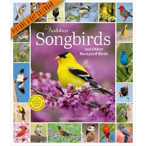 Audubon Songbirds وطيور الفناء الخلفي الأخرى Picture-A-Day® تقويم الحائط 2025
