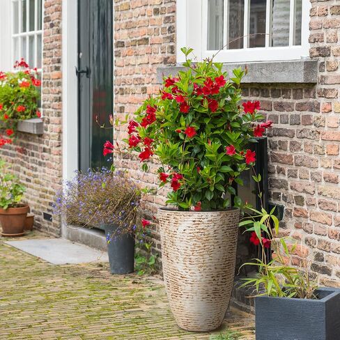Worth Garden 2-Pack 21" H. White Tall Planters - 14'' Dia Resin Large Round Flower Pots for Outdoor Plants Trees - Imitation Stone Finish Plastic Indoor Front Porch 9 Gallon Decorative Container Patio in Saudi Arabia
