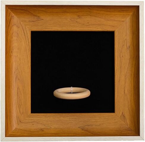 Handcrafted Modern Wooden Air Plant Holder - Versatile & Stylish Home Decor (White Edge with Brown Frame, Black Interior) in Saudi Arabia