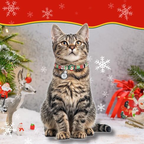 طوق للقطط مع أجراس، طوق للقطط مع مشبك أمان قابل للفصل، طوق للقطط خفيف الوزن قابل للتعديل بعرض 0.4 بوصة، علامة رمز الاستجابة السريعة للقطط، طوق للقطط مع علامة تعريف للقطط (أسود، مخلب القط) in Kuwait