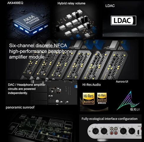 مضخم سماعة الرأس Topping DX9 DAC NFCA - AK4499EQ Flagship DAC، التحكم في مستوى الصوت الهجين، 6 قنوات منفصلة NFCA عالية الأداء (فضي، الذكرى السنوية الخامسة عشرة) in Kuwait