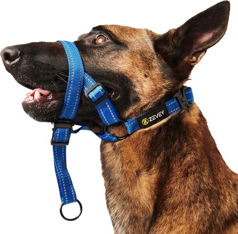 Adjustable Dog Head Halter with Safety Strap, Soft Padded Dog Head Collar for Small Medium Large Dogs, No-Pull Dog Harness for Training and Walking (Large, Black) in Saudi Arabia
