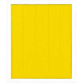 Thermal Grizzly - Kapton Insulation Sheet - 50x Stripes (10x60mm) - 40μm Thick High-Temp Polyimide Film for CPU/GPU Tim Protection