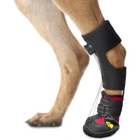 Strap-On Drop Foot Brace (No Knuckling Boot Brace) for Dogs— Corrective Dog Shoes to Safely Lift Toes for Treating Foot Issues, Arthritis, and improving Walking gait in Dogs(S)