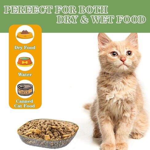 6-Pack Cat Food Bowl Cat Dishes - 5.9 Inch Shallow Cat Bowls Wide Cat Wet Feeding Bowls, Whisker Fatigue Cat Dishes for Food, Square Transparent PET Kitten Bowls Set for Indoor Cats, Short Legged Cat in Saudi Arabia