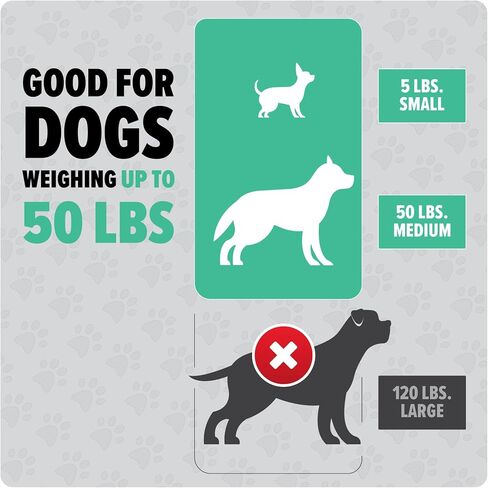 Dirt Devil Dogwalker, Portable Handheld Vacuum, No-Contact Poop Scooper for Dogs, Ideal for Dogs up to 50 Pounds, Dog Poop Scooper for Yard Cleanup and Walks in Saudi Arabia
