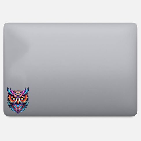 Colorful Cute Owl Strigiformesphile Aesthetic Sticker For Car, Bike, SUV, Truck, Helmet, Laptop, Water Bottle, Notebook, Decal window, Skateboard, Bumper Vinyl Waterproof sticker 5 inch (Design 1) in Saudi Arabia