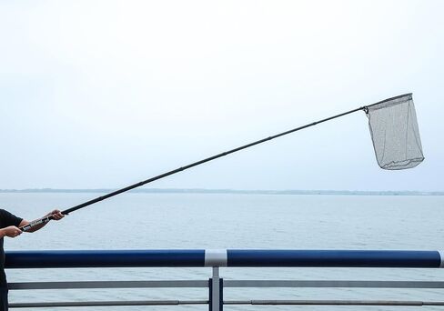 Telescopic Fishing Net Long Handle Landing Net with Carbon Pole Rubber Fishing Net Full Metal Hoop Fish Landing Let in Saudi Arabia