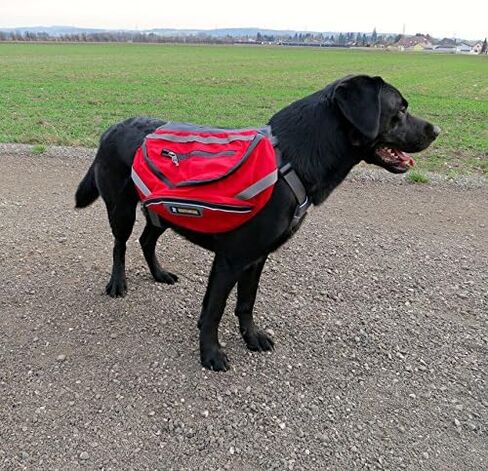 Ruffwear - حزمة Palisades Multi-Day Backcountry للكلاب، الكشمش الأحمر، متوسط in Kuwait