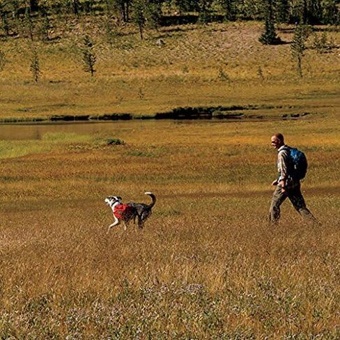 Ruffwear - حزمة Palisades Multi-Day Backcountry للكلاب، الكشمش الأحمر، متوسط in Kuwait
