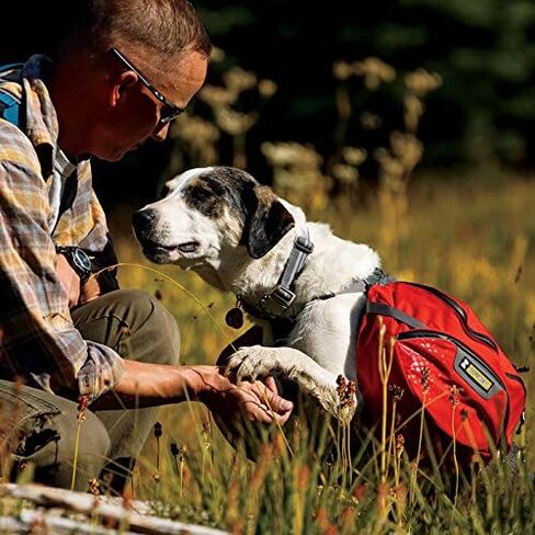 Ruffwear - حزمة Palisades Multi-Day Backcountry للكلاب، الكشمش الأحمر، متوسط in Kuwait