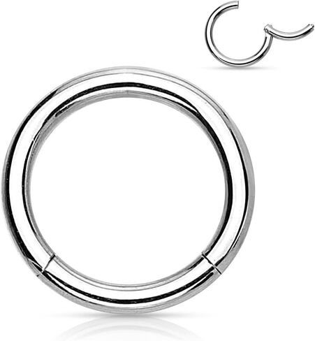 Pair of 316L Surgical Steel Hinged Segment WildKlass Rings in Saudi Arabia
