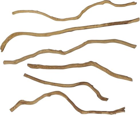 kathson Natural Driftwood for Aquarium, Red Moor Driftwood Mix 12''-16'' Long Driftwood for Decorations 100 g Aquarium Driftwood Assorted Shapes Natural Aquarium Decor Driftwood (150, Grams) in Saudi Arabia