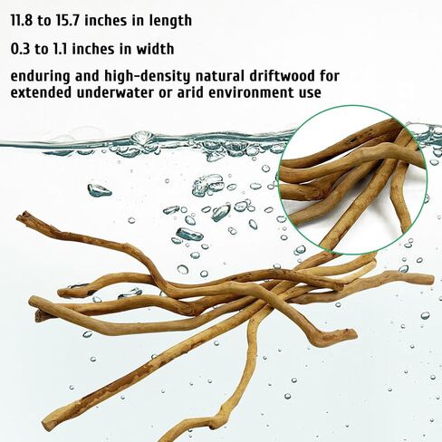 kathson Natural Driftwood for Aquarium, Red Moor Driftwood Mix 12''-16'' Long Driftwood for Decorations 100 g Aquarium Driftwood Assorted Shapes Natural Aquarium Decor Driftwood (150, Grams) in Saudi Arabia