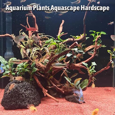 kathson Natural Driftwood for Aquarium, Red Moor Driftwood Mix 12''-16'' Long Driftwood for Decorations 100 g Aquarium Driftwood Assorted Shapes Natural Aquarium Decor Driftwood (150, Grams) in Saudi Arabia
